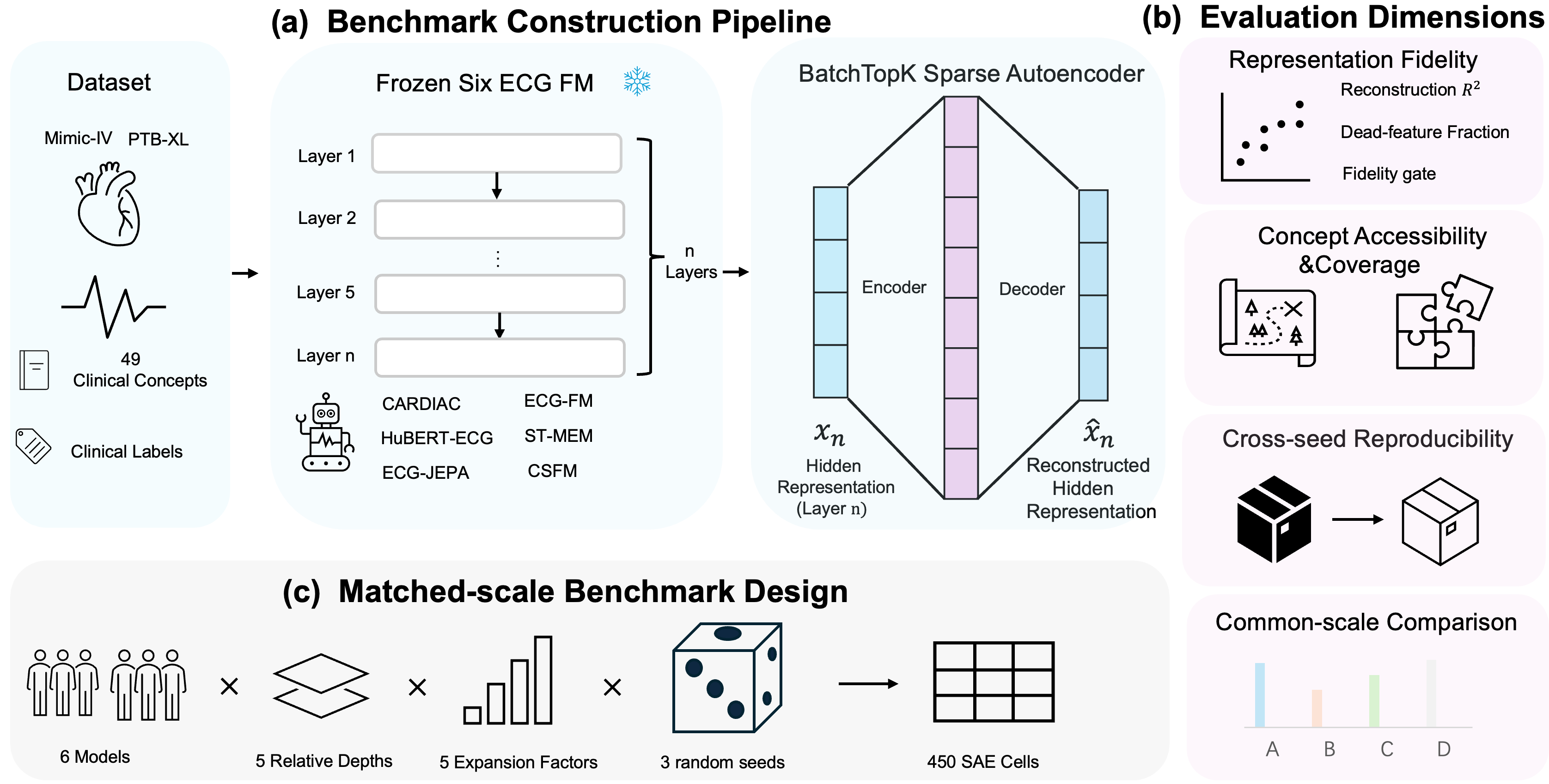 ECG-InterpBench overview